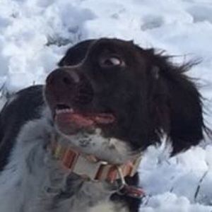 Meet your Posher, Rainier